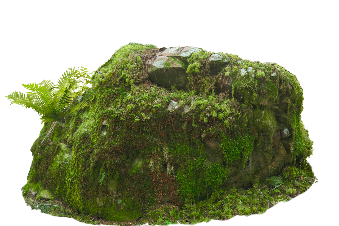 Mossy Rock